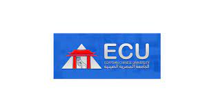 Egyptian Chinese University